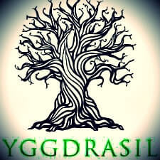 Играть в автоматы от Иггдрасиль в казино Плей Фортуна